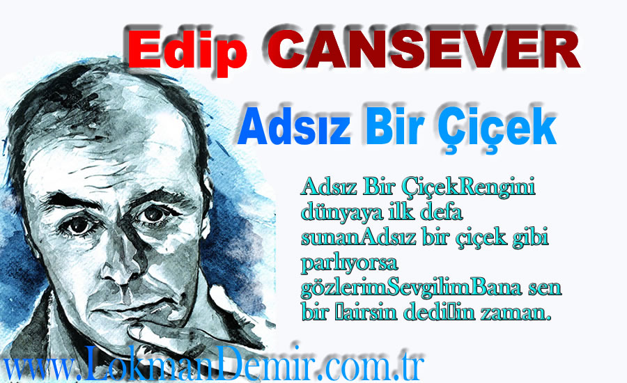 Adsız Bir Çiçek Şiiri - Edip Cansever