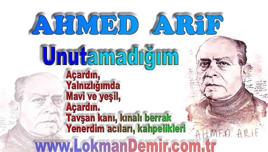 AHMED ARİF Unutamadığım Şiir Sözleri