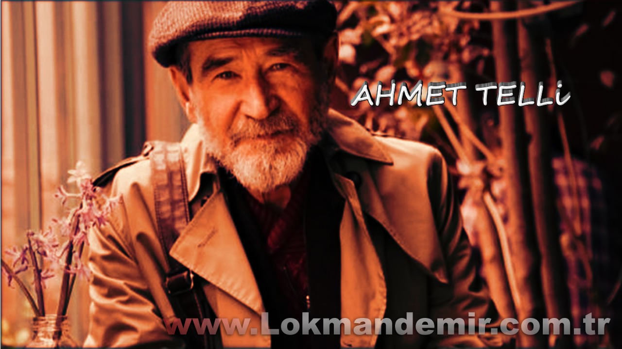 AHMET TELLİ Kimdir Biyografi