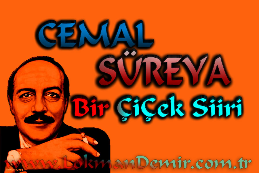 Cemal Süreya Bir Çiçek Şiiri