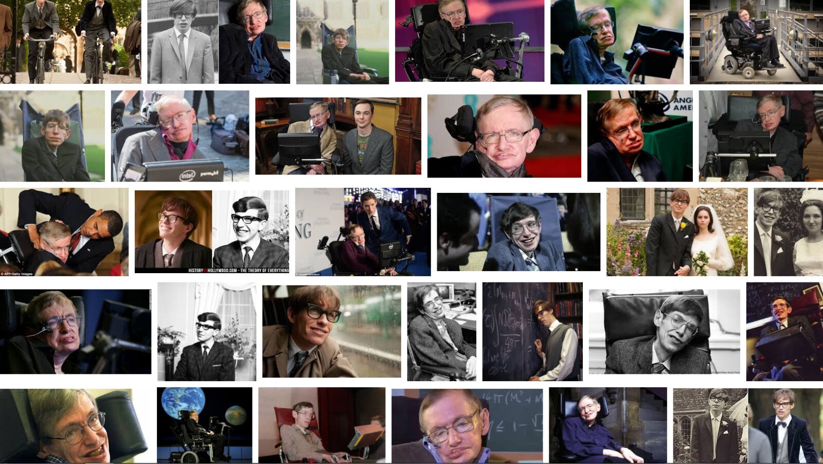 Stephen Hawking Kimdir Biyografi