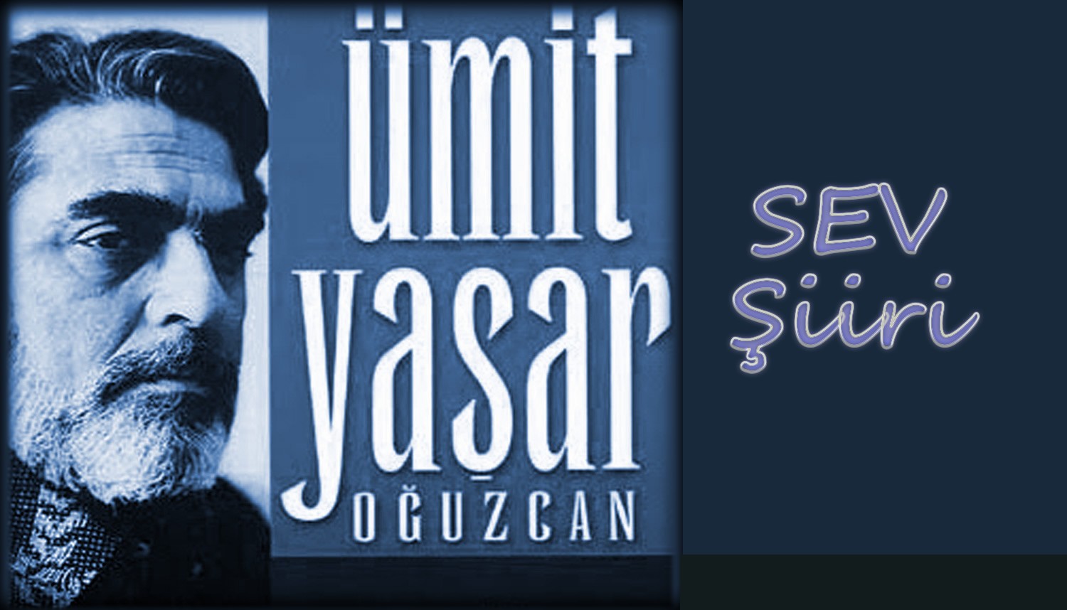 Ümit Yaşar Oğuzcan - Sevi Şiiri