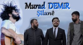 Murad DEMiR Şîlanê Şarkı Sözleri