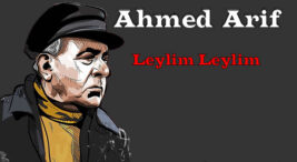 Ahmed Arif - Leylim Leylim Şiir sözleri
